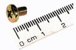Screw, Phillips, 6 mm, Hinge Bracket to Chassis, Pkg. of 5