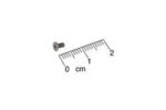 Screw, Phillips, 2 x 4 X 0.3, Pkg. of 5