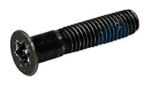 Screw, T10, Flat Head, M3x.5x15 iMac 20 Mid 2007