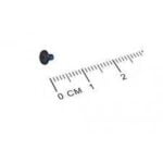 Screw, 2 x 0.4 x 4.4 mm, Philips, Pkg of 5